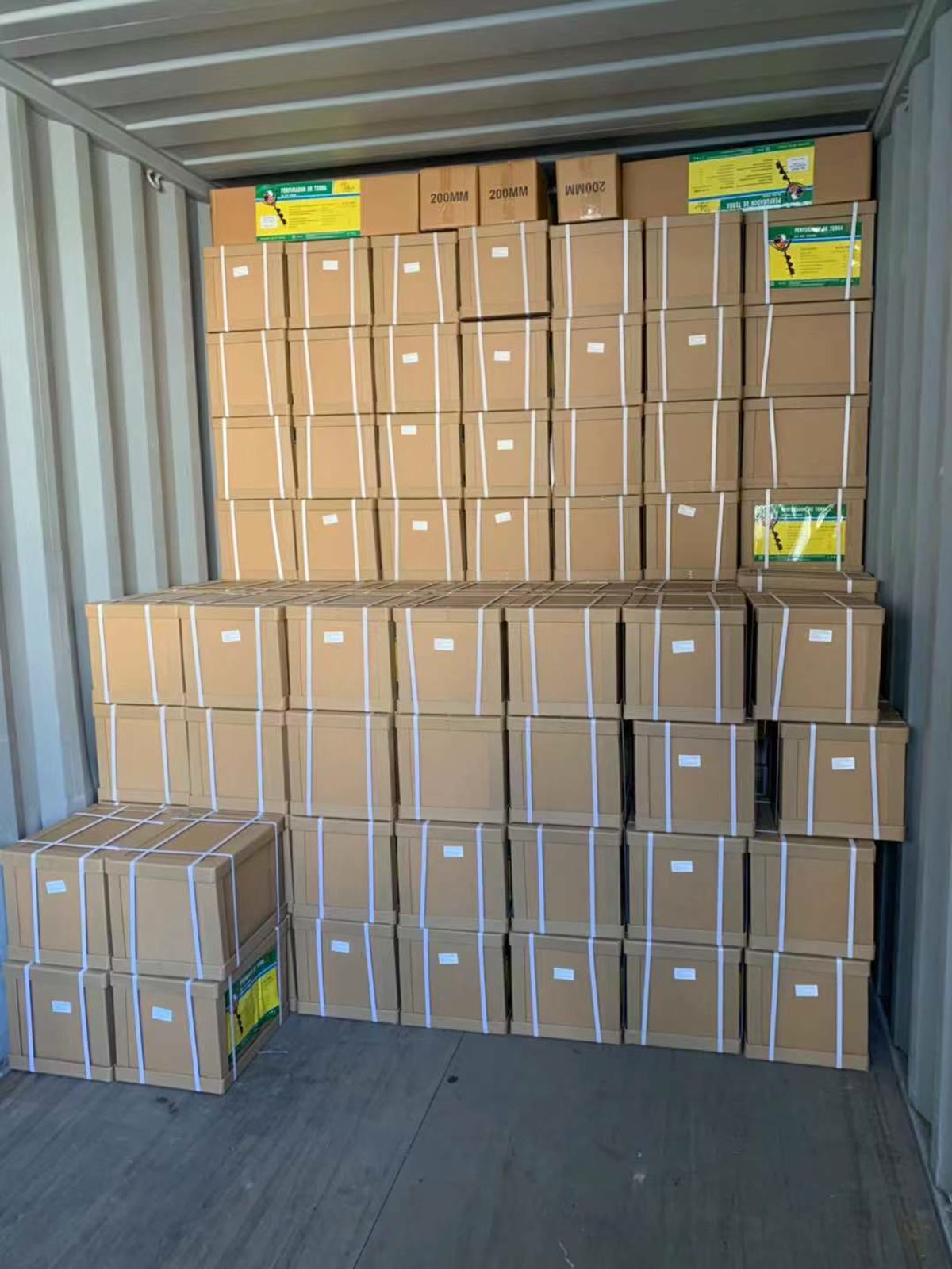Export cartons packed inside a shipping container